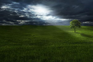 ESG Environmental Social Governance