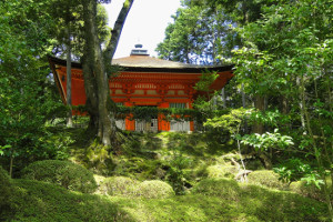 MSCI launches new Japan ESG indices