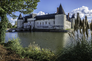 VanEck: A wide moat is only half the battle