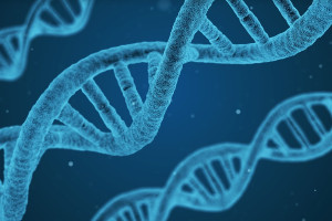BlackRock launches iShares US Biotechnology ETF BTEC LN
